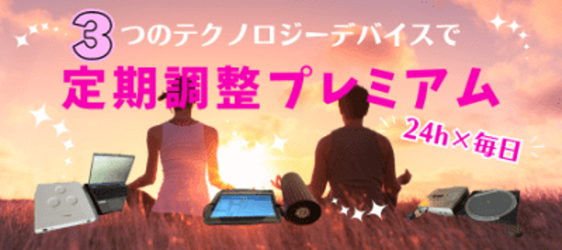 【定期調整プレミアム】